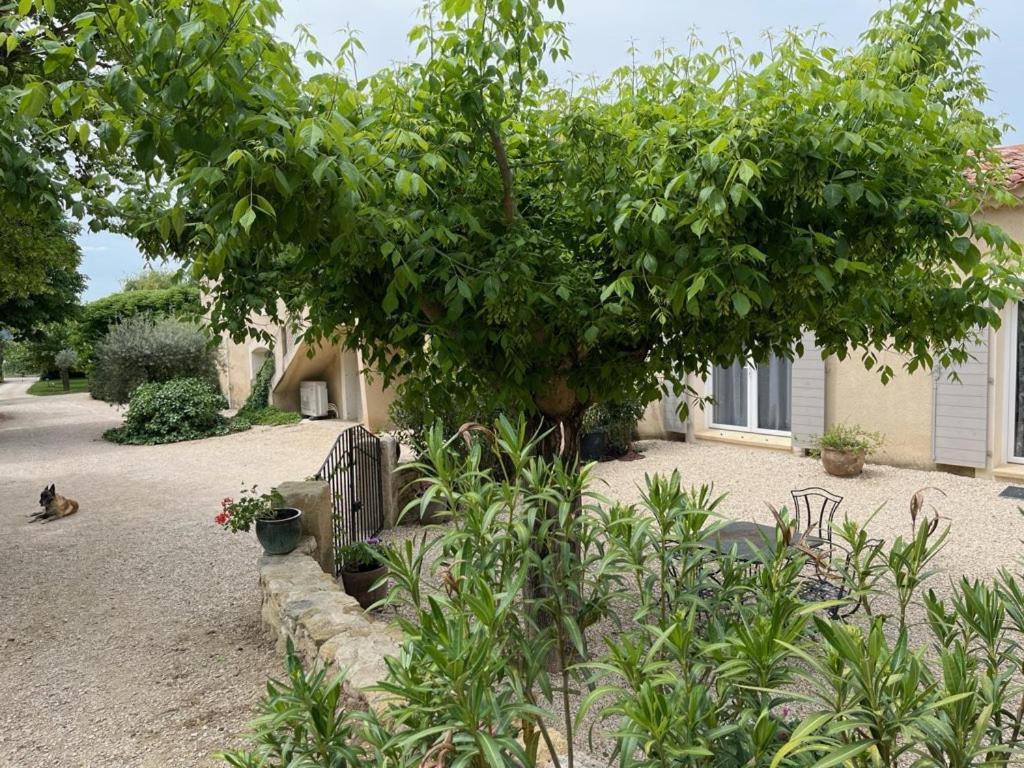 Bastide Provencale Villa Cadenet Luaran gambar